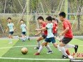 小学足球头顶影响智力吗，小学足球头顶球教案