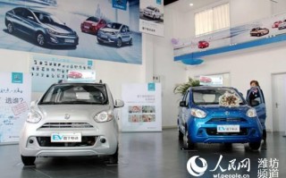 雷丁电动汽车价格表，雷丁电动汽车价格表 小轿车